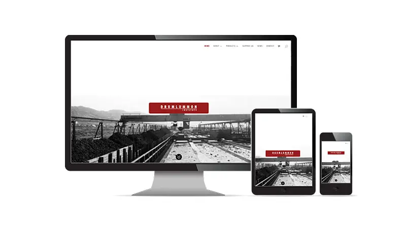 Drumlummon Institute